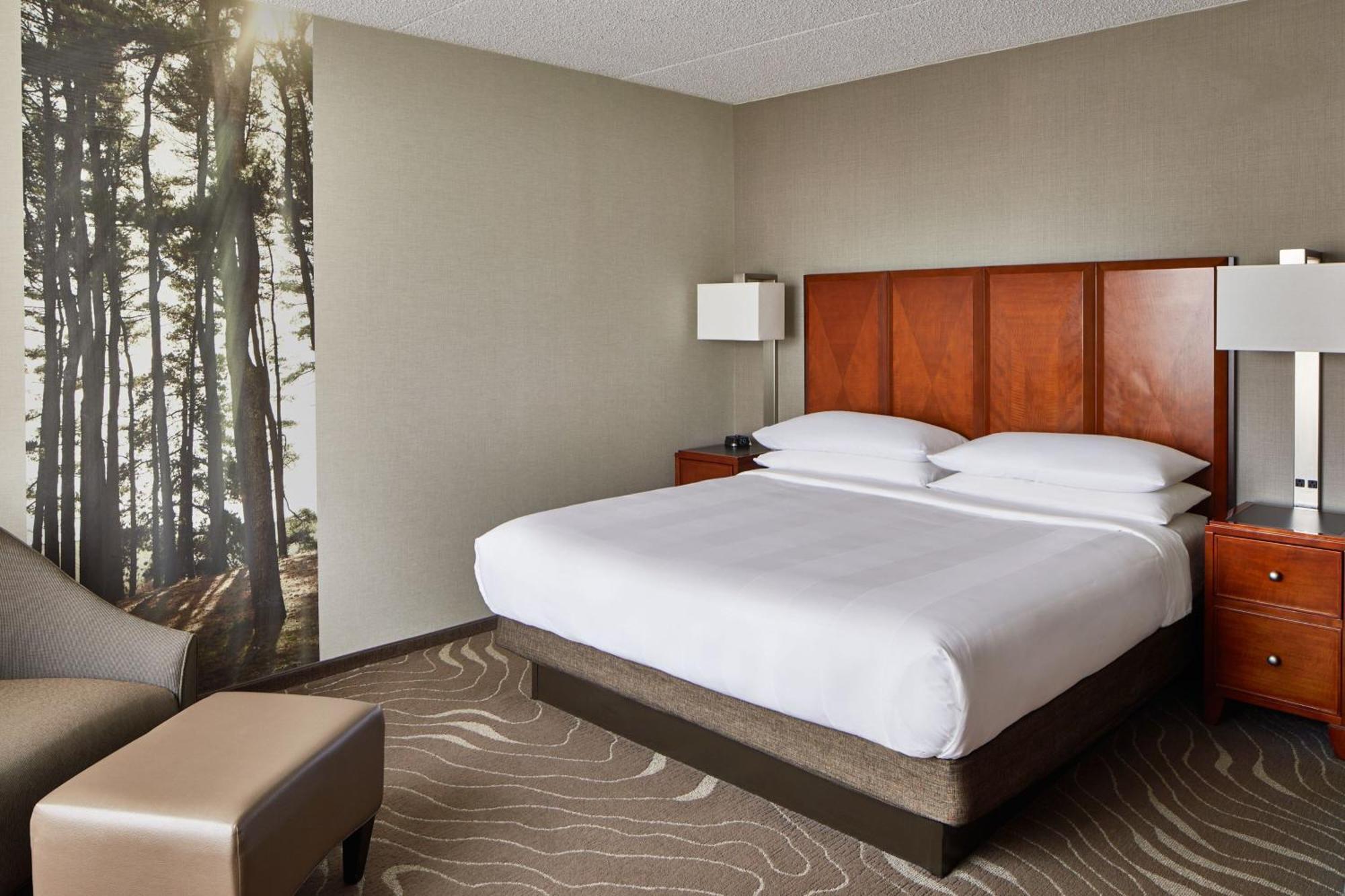 מלון רומולוס Detroit Metro Airport Marriott מראה חיצוני תמונה
